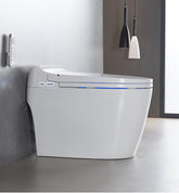 Smart Toilet-2209C