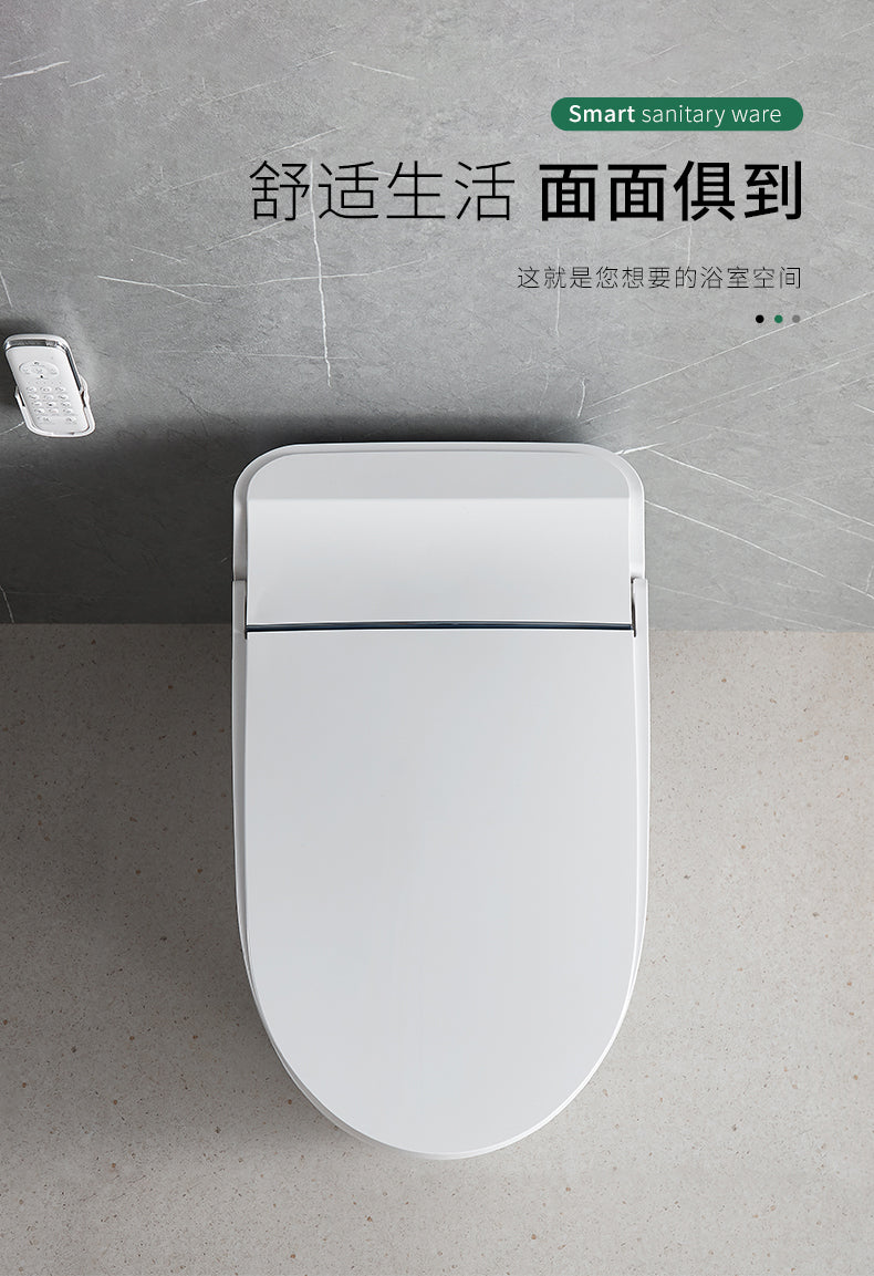 KK-Toilet-2209C